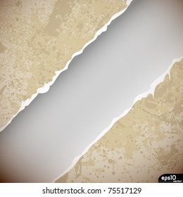 Ripped grunge shabby paper