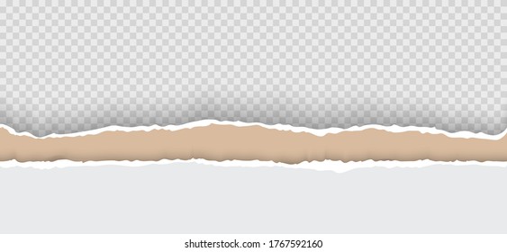Ripped horizontal paper strips. Torn paper edgerealistic vector illustration.