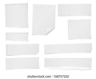 Ripped lined, squared note, notebook paper sheets for text or message stuck on white background.