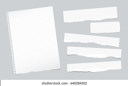 Ripped note, notebook, copybook paper sheets, strips, stuck on gray background.