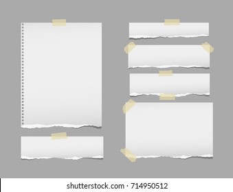 Ripped, note, notebook, copybook paper strips, sheets stuck with sticky tape on gray background.