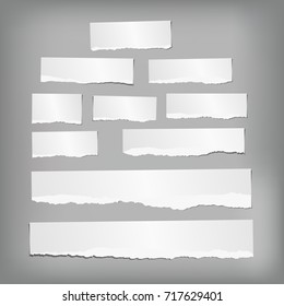 Ripped note, notebook, copybook paper strips stuck on gray background.