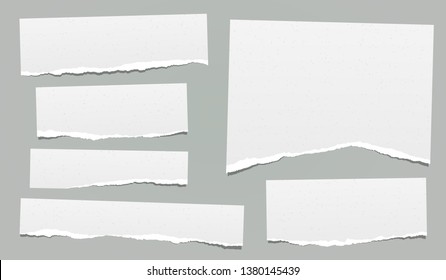 Ripped note, notebook grainy paper strips stuck on grey background. Vector illustration