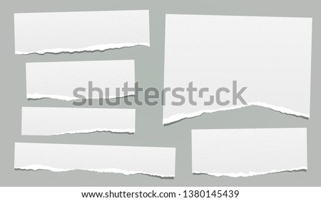 Ripped note, notebook grainy paper strips stuck on grey background. Vector illustration