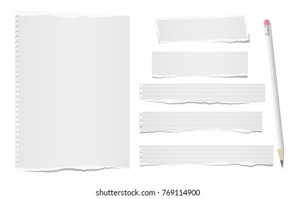 Ripped, Note, Notebook Paper Sheets For Text Or Message Stuck On White Background With Pencil