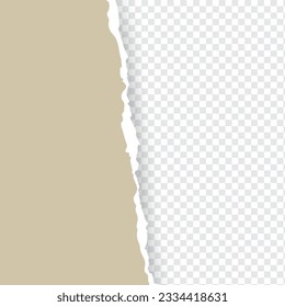 	
Borrado de fondo de hoja de papel desgarrado