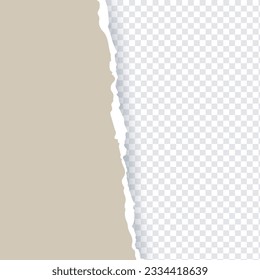 	
Ripped out torn paper sheet edge background