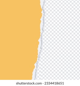 	
Ripped out torn paper sheet edge background