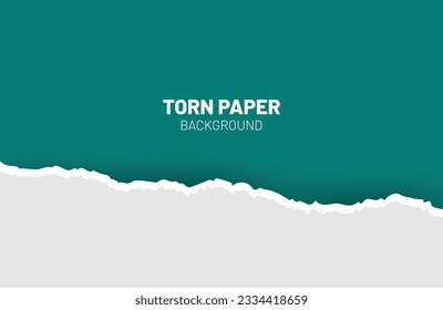 	
Ripped out torn paper sheet edge background