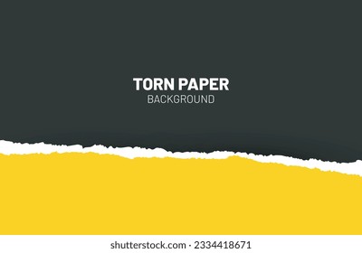 	
Ripped out torn paper sheet edge background