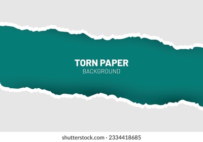 	
Ripped out torn paper sheet edge background
