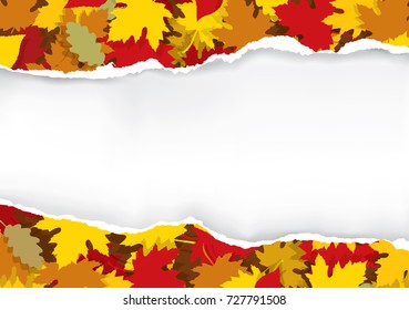 Ripped paper with autumn leaves.
Illustration of ripped paper with autumn leaves and place for your image or text. Vector available.