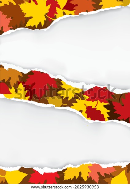 Ripped paper with autumn leaves.\
Illustration\
of torn paper with autumn leaves. Place for your image or text.\
Vector available.