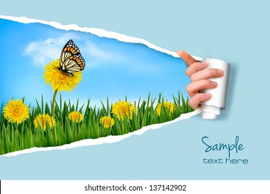 Ripped paper background with dandelions field a butterfly. Vector.