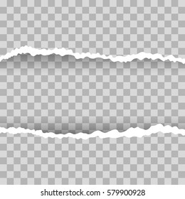 Ripped paper, background. Vector illustration