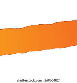 Ripped Paper Design