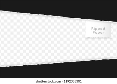 Ripped paper design element. Two horizontal black borders on the trancparent background