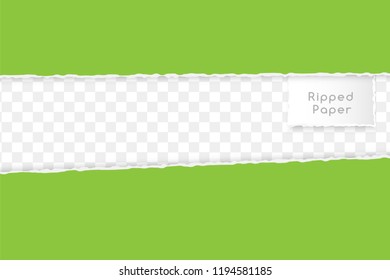 Ripped paper design element. Two horizontal green borders on the trancparent background