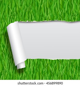 Papel despojado con pasto verde sin soldadura fondo patrón. Ilustración vectorial