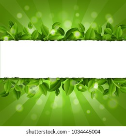 Ripped Paper With Leaves With Gradient Mesh, Vector Illustration