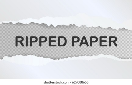 Ripped paper with shadow and space for text. Transparent background. Vector illustration.