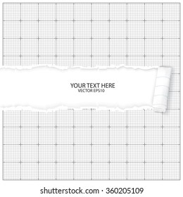 Ripped paper, space for copy