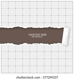 Ripped paper, space for copy