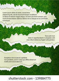 Ripped Paper - Space for own Text