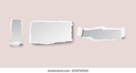 ripped paper strips collection. Realistic paper scraps with torn edges. Sticky notes, shreds of notebook pages