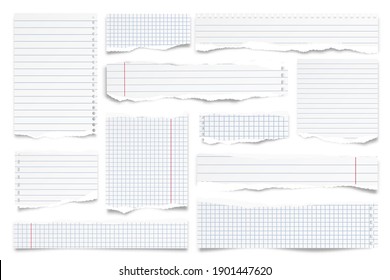 Ripped paper strips isolated on white background. Realistic lined paper scraps with torn edges. Sticky notes, shreds of notebook pages. Vector illustration.
