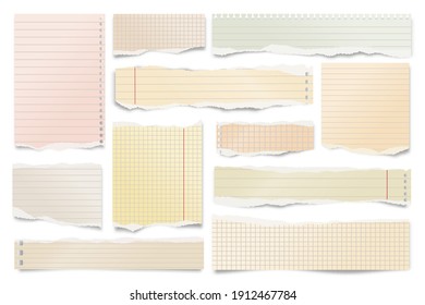 Ripped paper strips isolated on white background. Realistic colorful lined paper scraps with torn edges. Vector illustration.