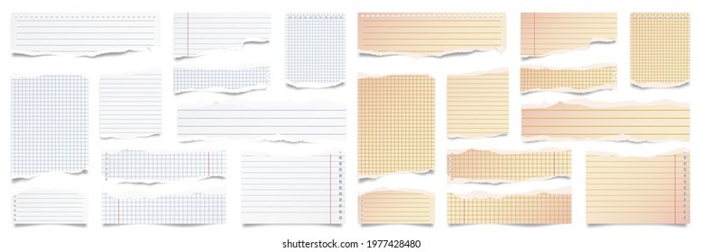 Ripped paper strips isolated on white background. Realistic lined paper scraps with torn edges. Sticky notes, shreds of notebook pages. Vector illustration.