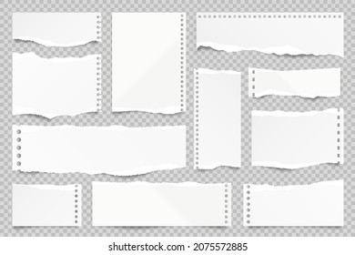 Las tiras de papel despojadas se aíslan sobre un fondo transparente. Desechos de papel realistas con bordes rotos. Notas pegajosas, fragmentos de páginas de cuadernos. Ilustración vectorial.