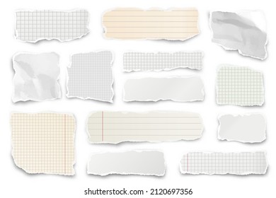 Ripped paper strips. Realistic crumpled paper scraps with torn edges. Shreds of notebook pages. Vector illustration.