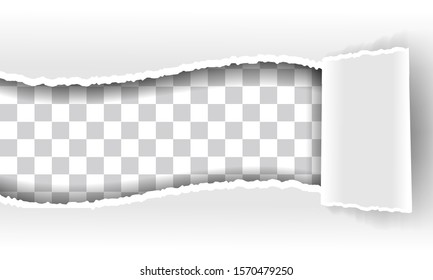 Ripped paper. Template for your text on ripped paper. White paper blank. With shadow and roll paper on right. Vector