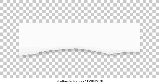 Ripped paper texture. Torn paper edges background. White paper for banner tag background. Vector illustration.