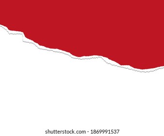 Ripped paper. Torn, ripped pieces. Vector illustration.
