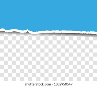 Ripped paper. Torn, ripped pieces. Vector illustration.