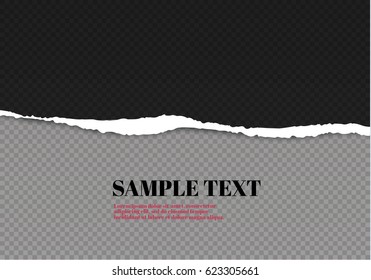 Ripped paper transparent background with space for text.