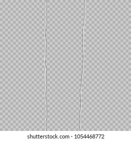 Ripped paper to two leaves. Paper torn in half. Ripped paper template. Isolated on a transparent background.