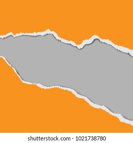 Ripped paper. Vector of ripped paper. the paper was ripped background.