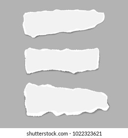 Ripped paper. Vector of ripped paper. the paper was ripped background.