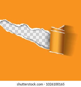 Ripped paper. Vector of ripped paper. the paper was ripped background.
