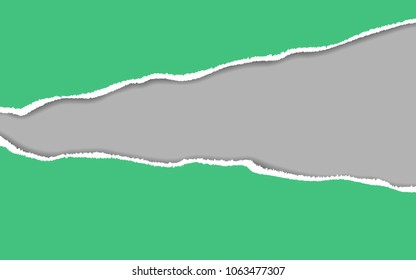 Ripped paper. Vector of ripped paper. the paper was ripped background.