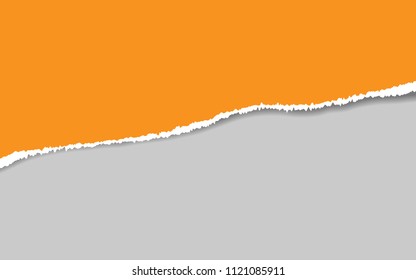 Ripped paper. Vector of ripped paper. the paper was ripped background.