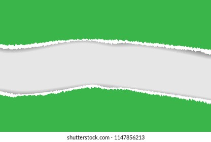 Ripped paper. Vector of ripped paper. the paper was ripped background.