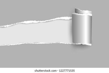 Ripped paper. Vector of ripped paper. the paper was ripped background.