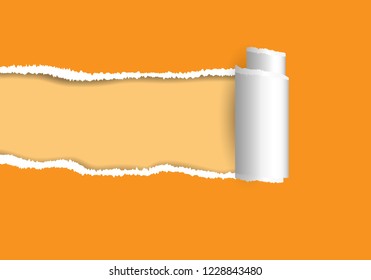 Ripped paper. Vector of ripped paper. the paper was ripped background.