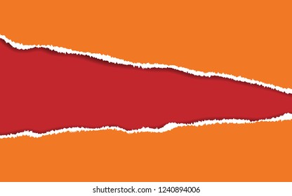 Ripped paper. Vector of ripped paper. the paper was ripped background.