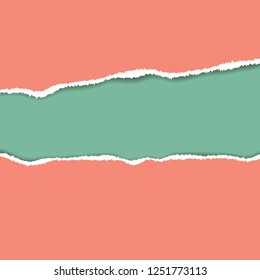 Ripped paper. Vector of ripped paper. the paper was ripped background.